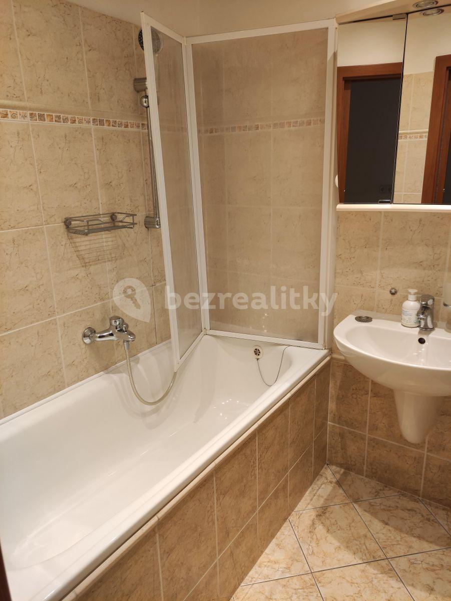 1 bedroom with open-plan kitchen flat to rent, 56 m², U Družstva Život, Prague, Prague