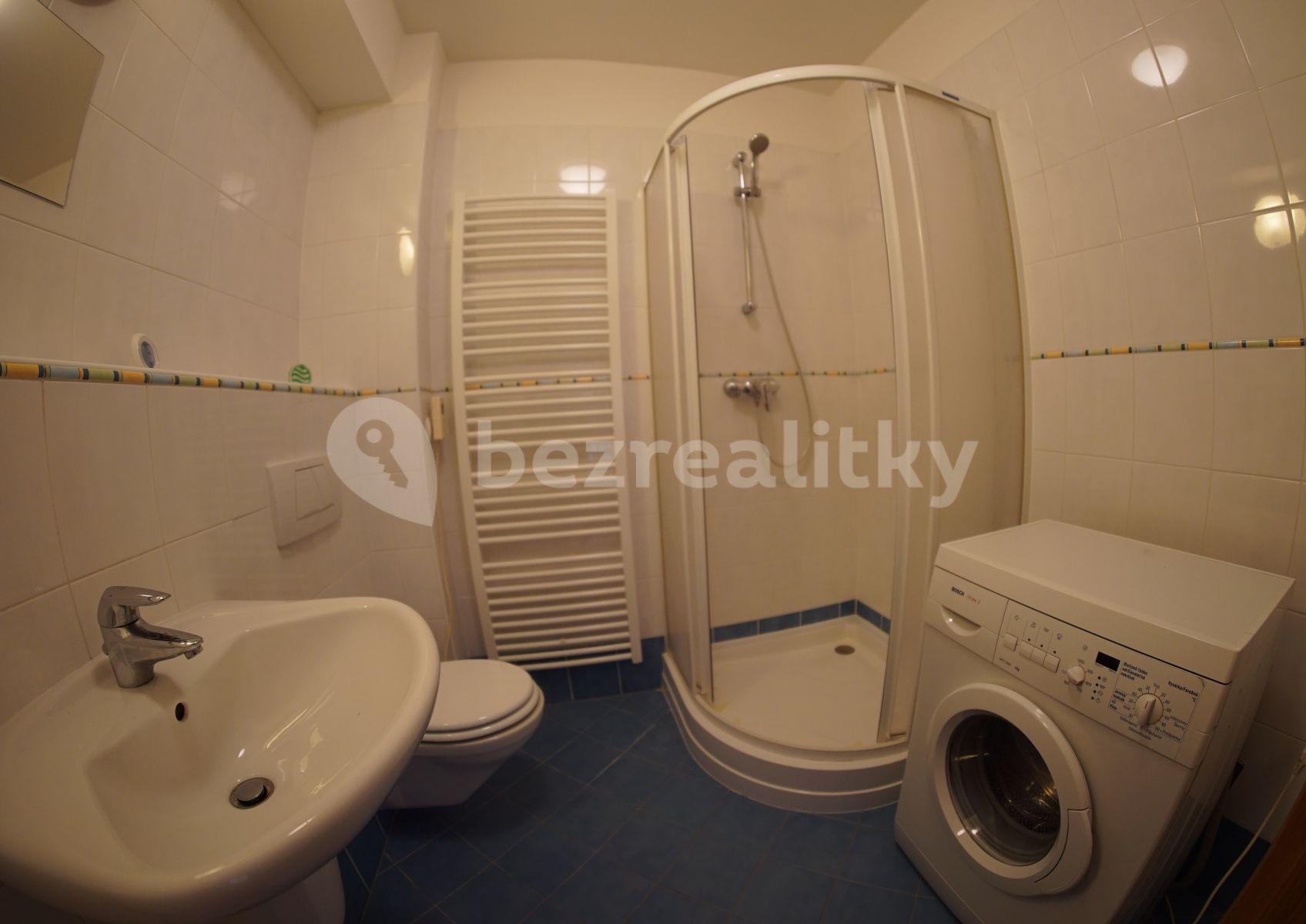 2 bedroom with open-plan kitchen flat to rent, 110 m², Tibetská, Prague, Prague