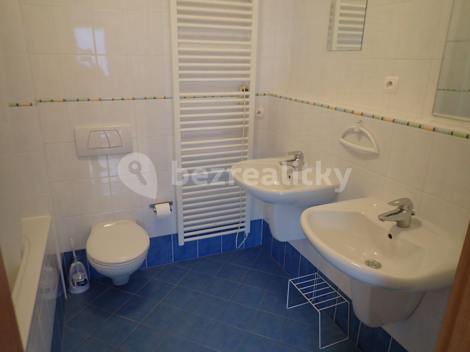 2 bedroom with open-plan kitchen flat to rent, 110 m², Tibetská, Prague, Prague