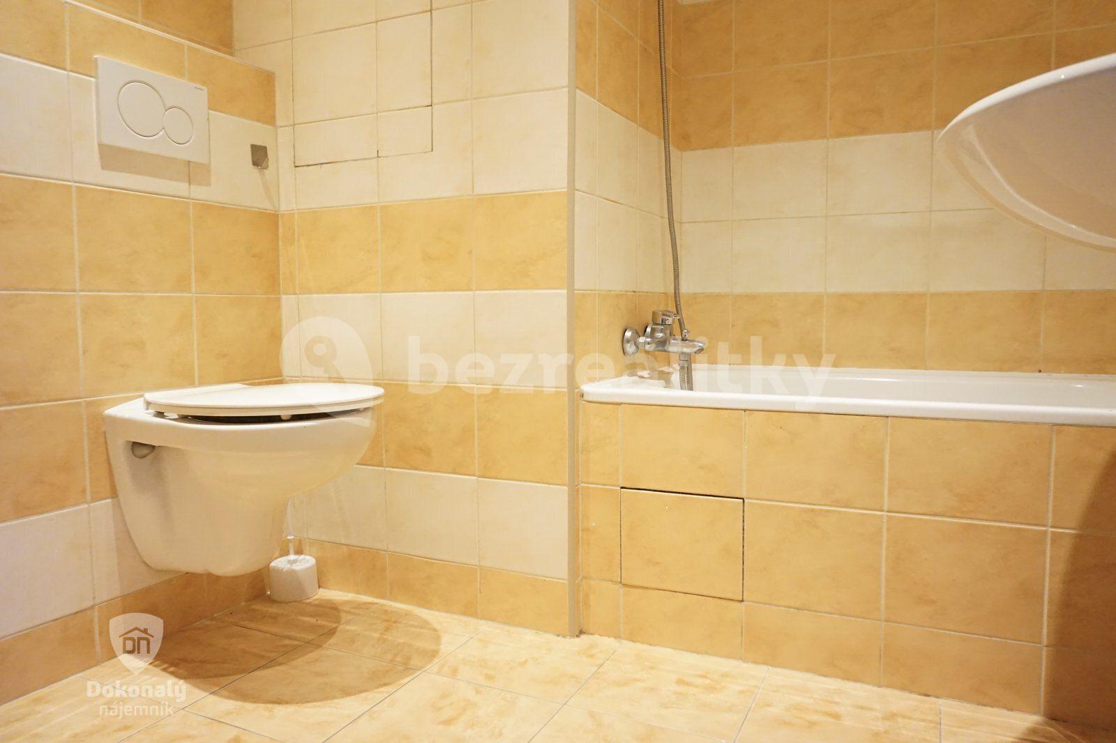 1 bedroom with open-plan kitchen flat to rent, 44 m², Nad přehradou, Prague, Prague