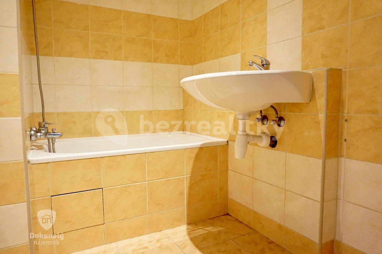 1 bedroom with open-plan kitchen flat to rent, 44 m², Nad přehradou, Prague, Prague