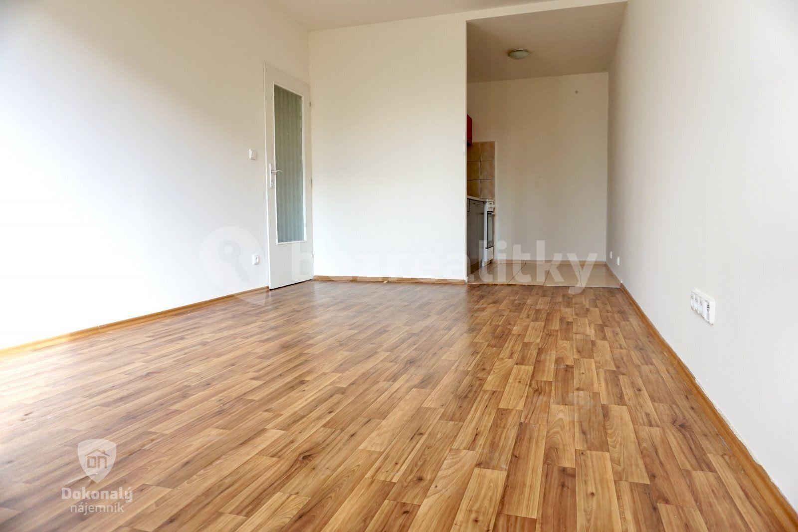 1 bedroom with open-plan kitchen flat to rent, 44 m², Nad přehradou, Prague, Prague