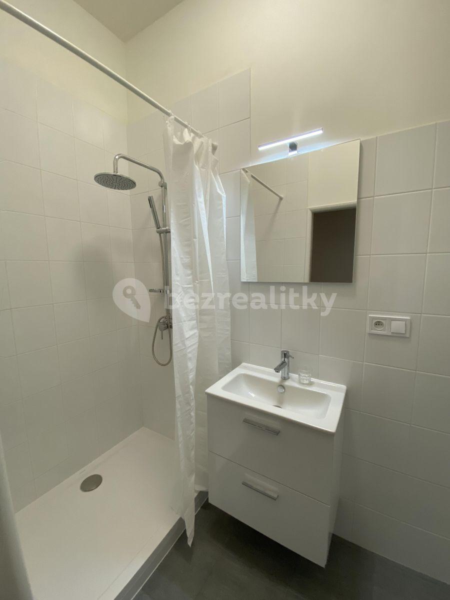 1 bedroom flat to rent, 45 m², Koněvova, Prague, Prague