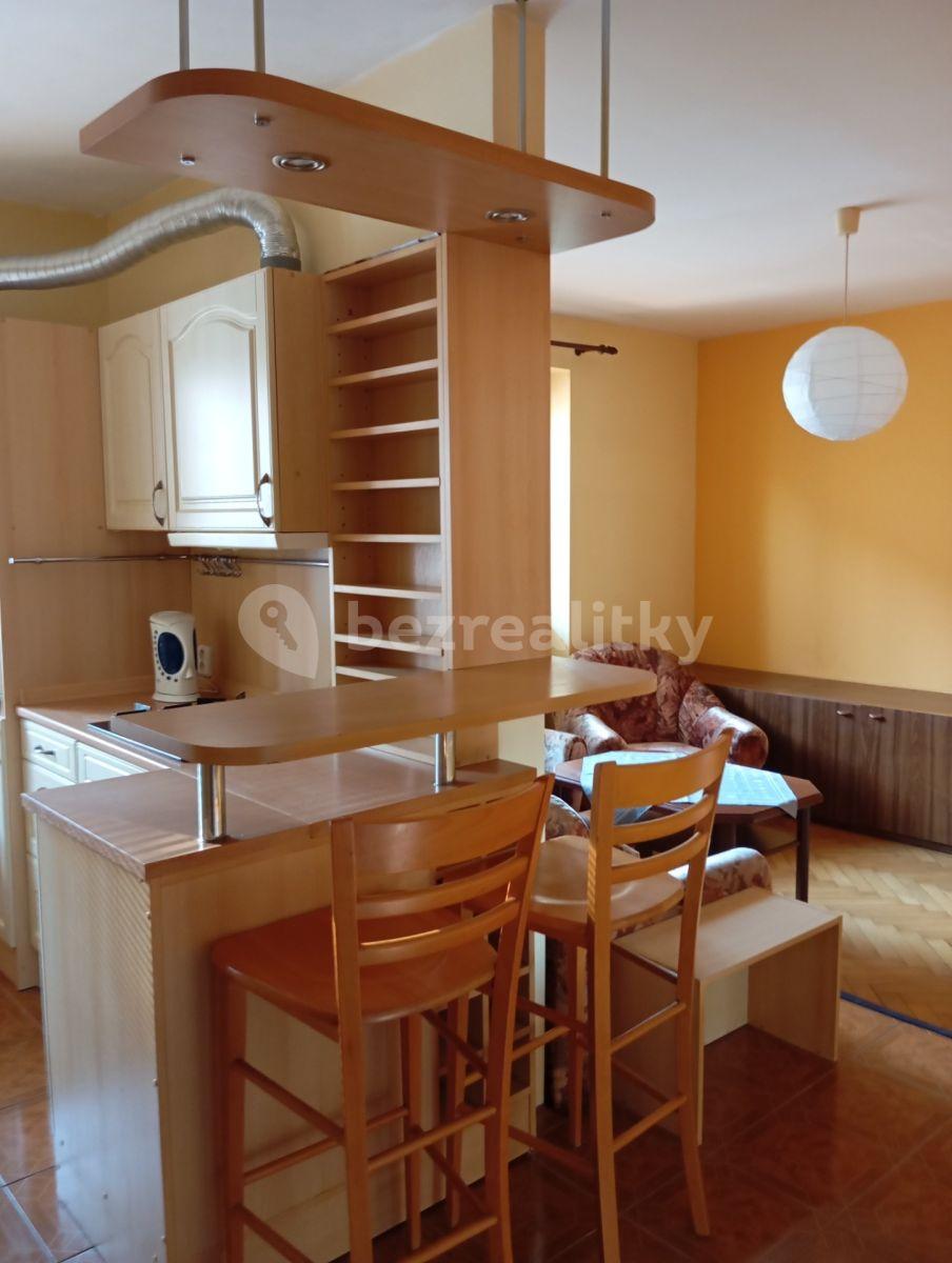 1 bedroom with open-plan kitchen flat to rent, 50 m², Ve Struhách, Prague, Prague