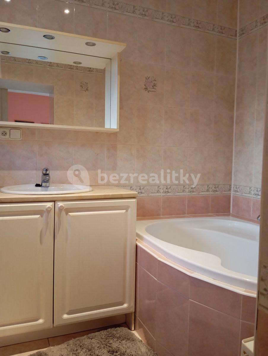 1 bedroom with open-plan kitchen flat to rent, 50 m², Ve Struhách, Prague, Prague