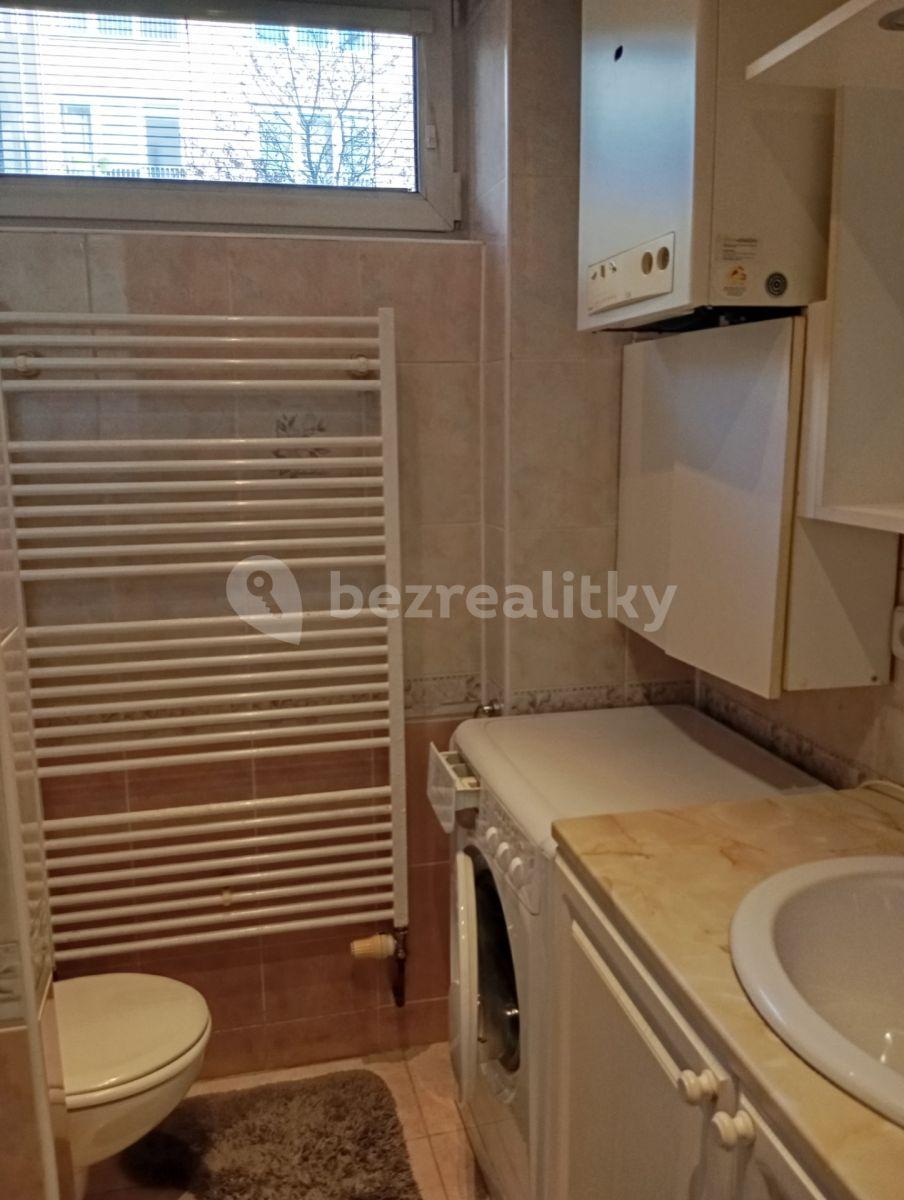 1 bedroom with open-plan kitchen flat to rent, 50 m², Ve Struhách, Prague, Prague