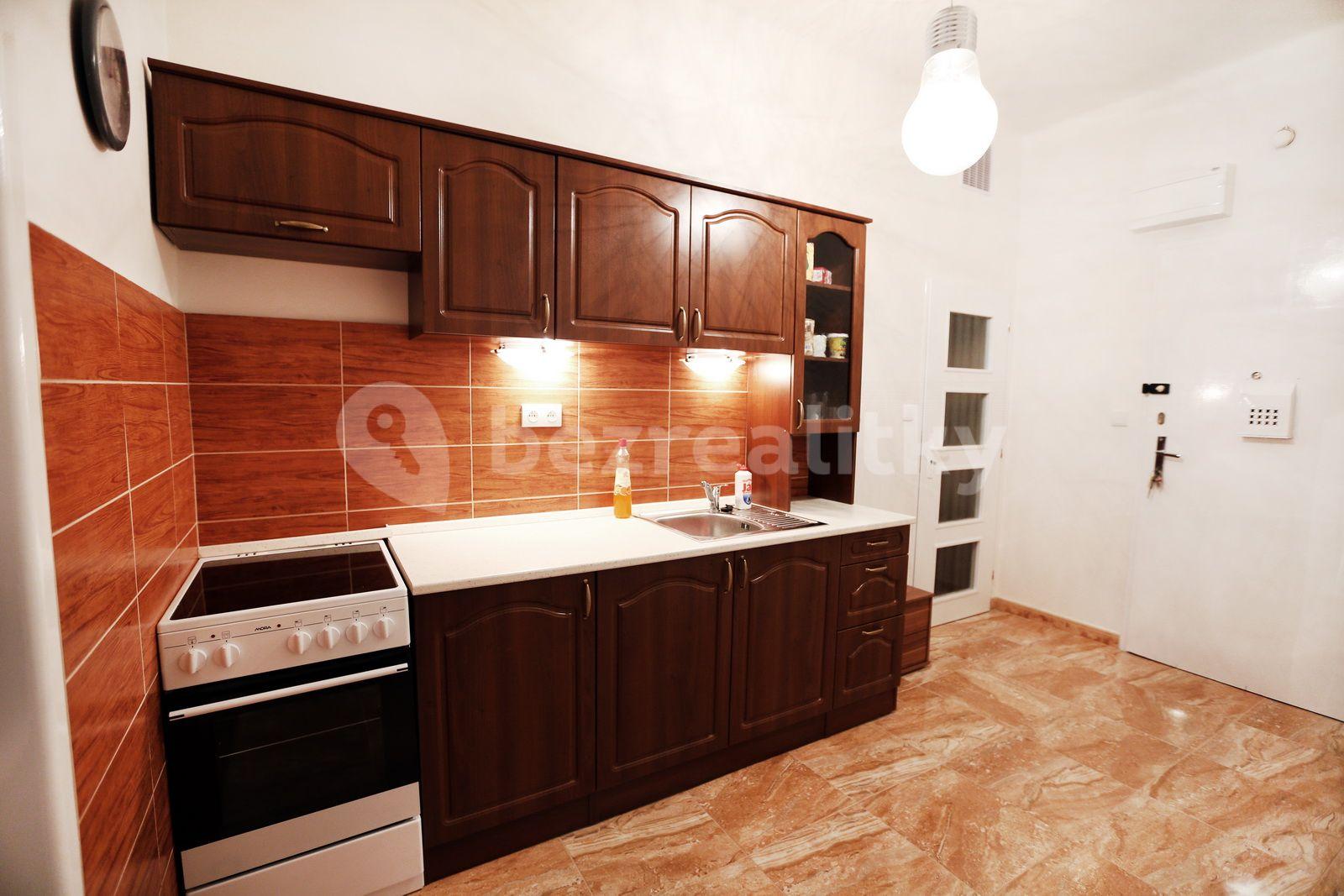 1 bedroom with open-plan kitchen flat to rent, 52 m², Heřmanova, Prague, Prague