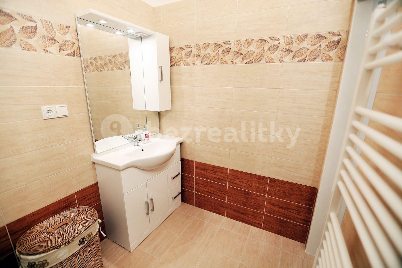 1 bedroom with open-plan kitchen flat to rent, 52 m², Heřmanova, Prague, Prague