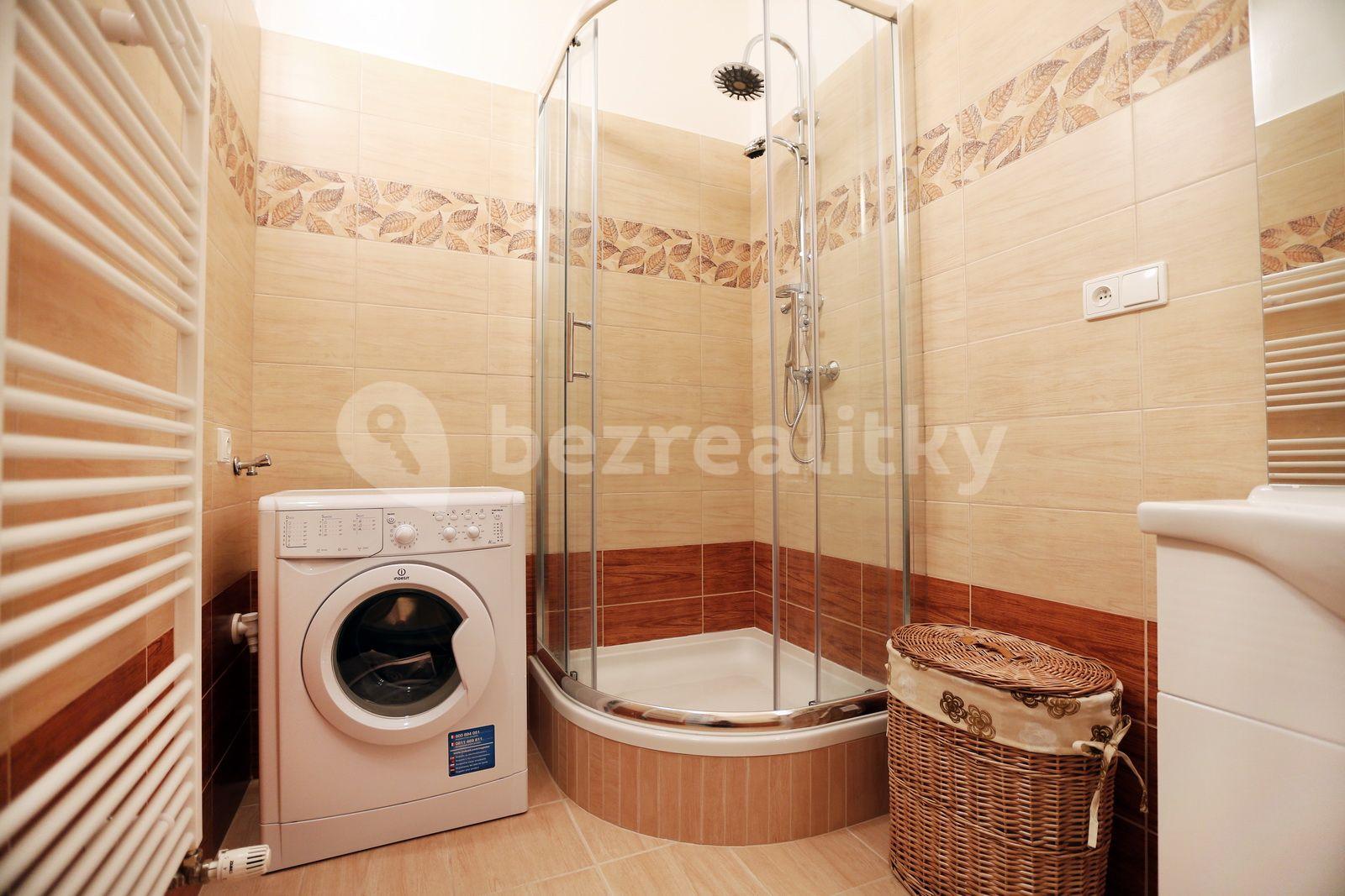 1 bedroom with open-plan kitchen flat to rent, 52 m², Heřmanova, Prague, Prague