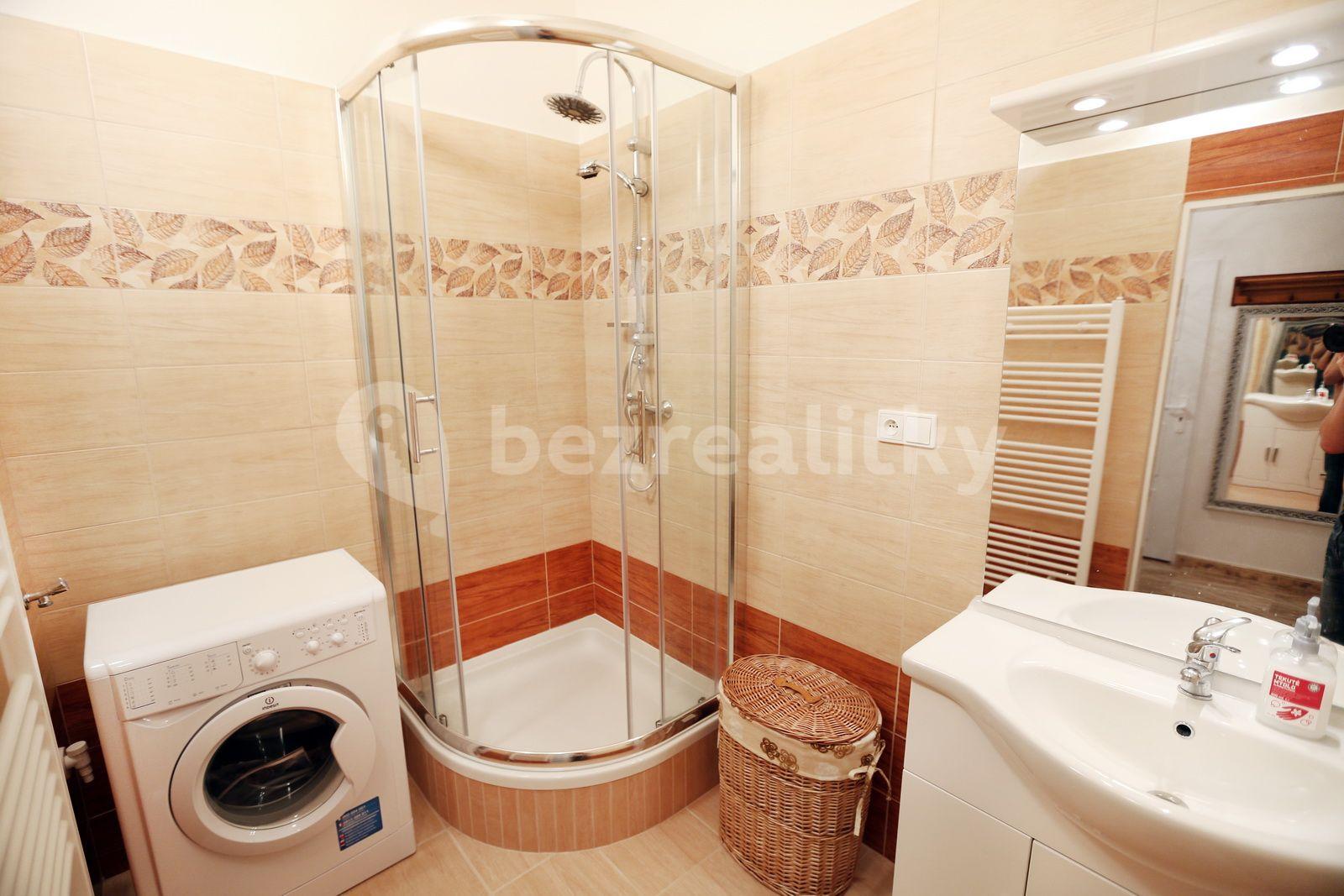 1 bedroom with open-plan kitchen flat to rent, 52 m², Heřmanova, Prague, Prague