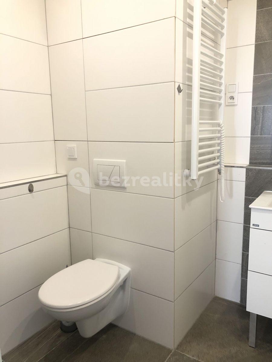 2 bedroom with open-plan kitchen flat to rent, 69 m², Jičínská, Prague, Prague