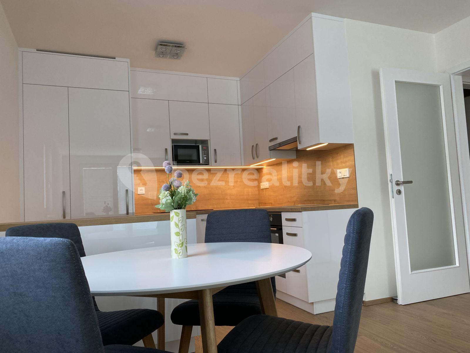 1 bedroom with open-plan kitchen flat to rent, 63 m², Stochovská, Prague, Prague