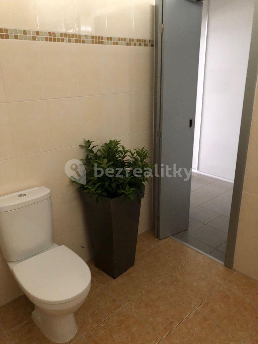 Studio flat to rent, 48 m², Kollárova, Hradec Králové, Královéhradecký Region