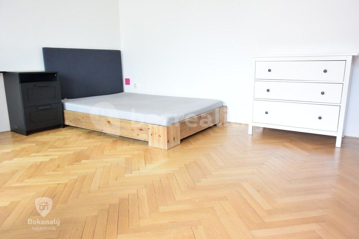 Studio flat to rent, 40 m², Na hroudě, Prague, Prague