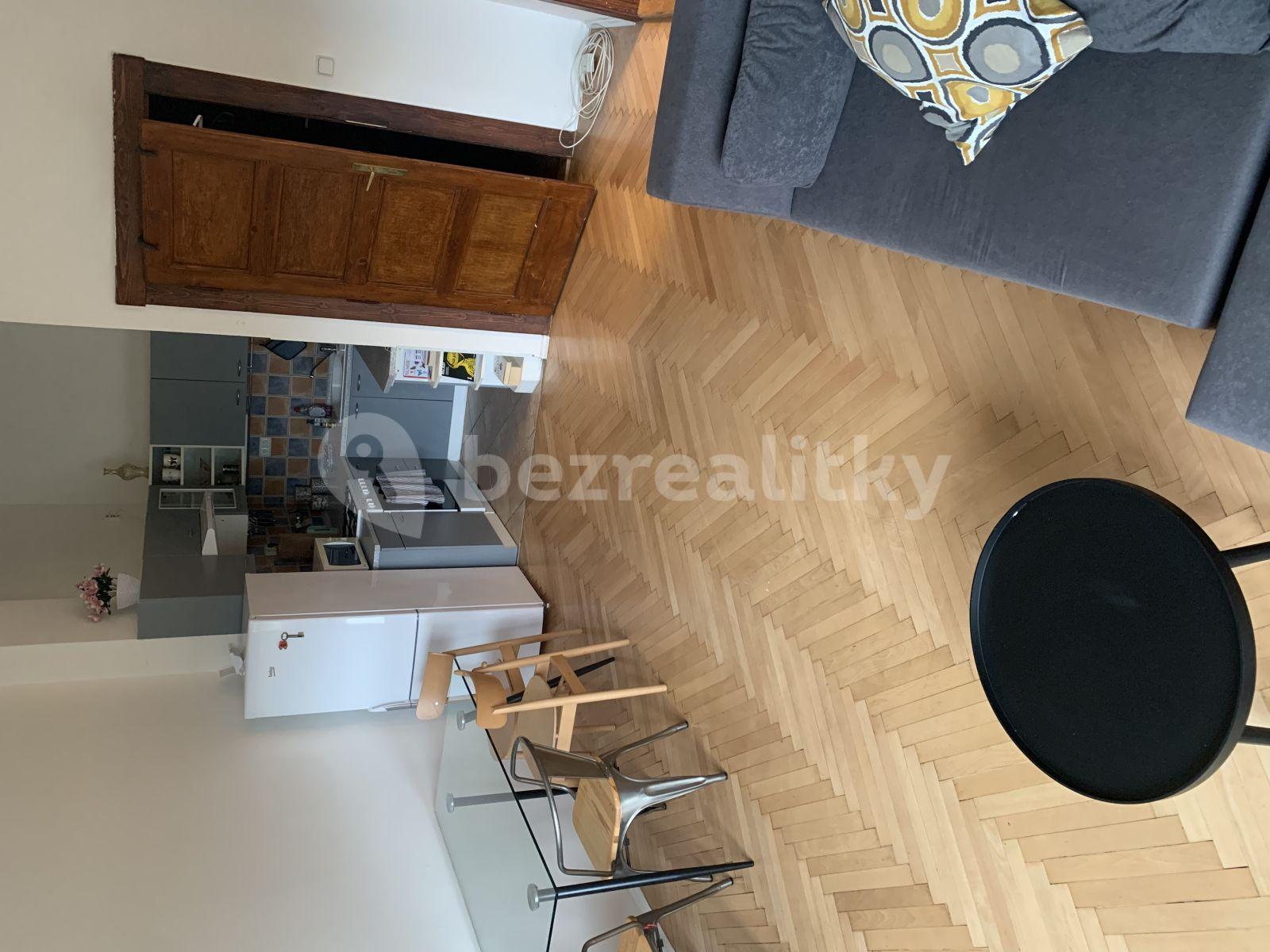 1 bedroom with open-plan kitchen flat to rent, 45 m², Jičínská, Prague, Prague