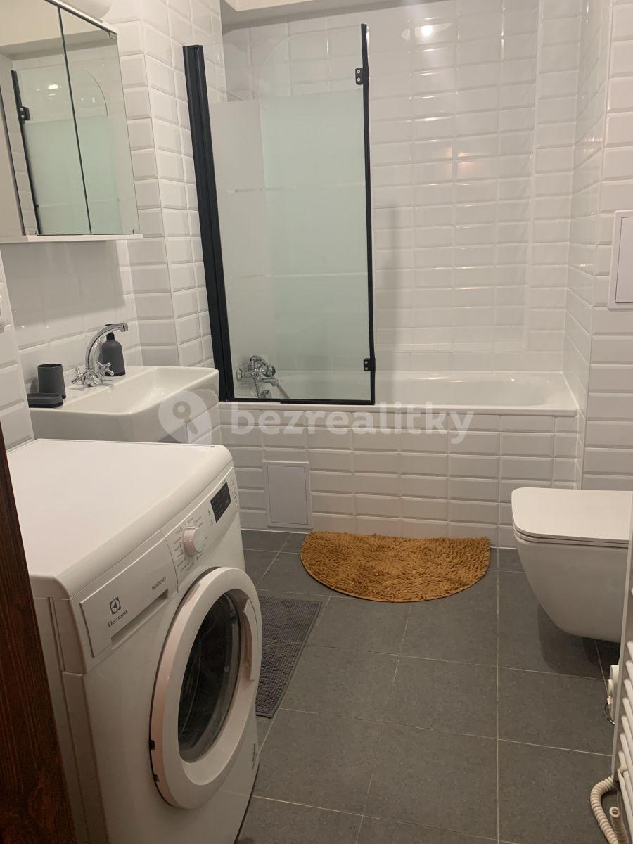 1 bedroom with open-plan kitchen flat to rent, 45 m², Jičínská, Prague, Prague