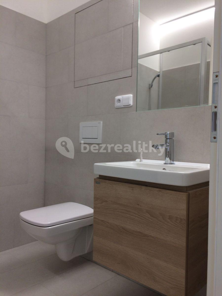 1 bedroom with open-plan kitchen flat to rent, 53 m², Olomouc, Olomoucký Region