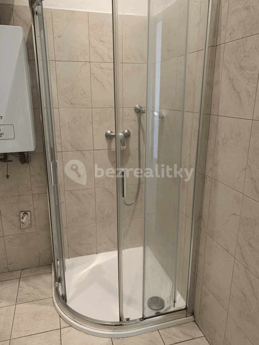 1 bedroom with open-plan kitchen flat to rent, 55 m², Voroněžská, Prague, Prague