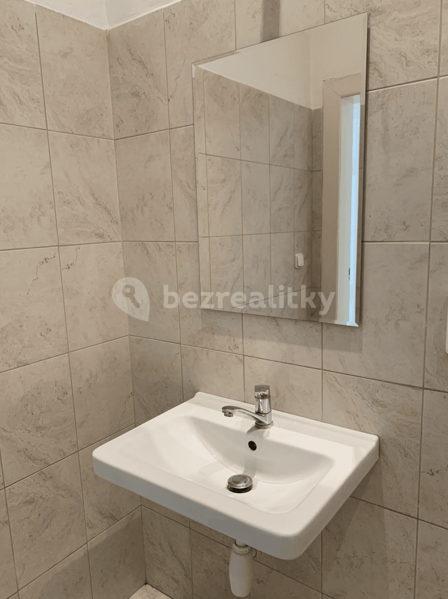 1 bedroom with open-plan kitchen flat to rent, 55 m², Voroněžská, Prague, Prague