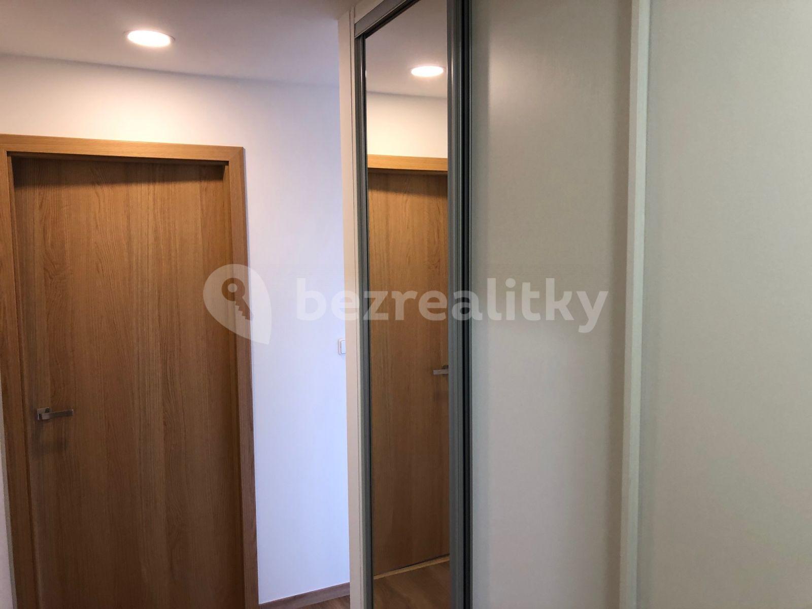 1 bedroom with open-plan kitchen flat to rent, 43 m², Přívorská, Prague, Prague