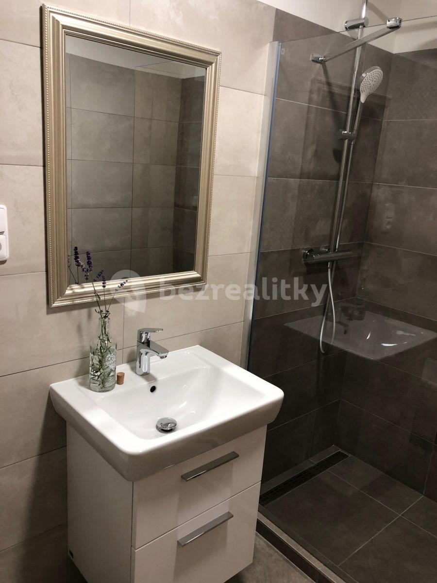 1 bedroom with open-plan kitchen flat to rent, 43 m², Přívorská, Prague, Prague