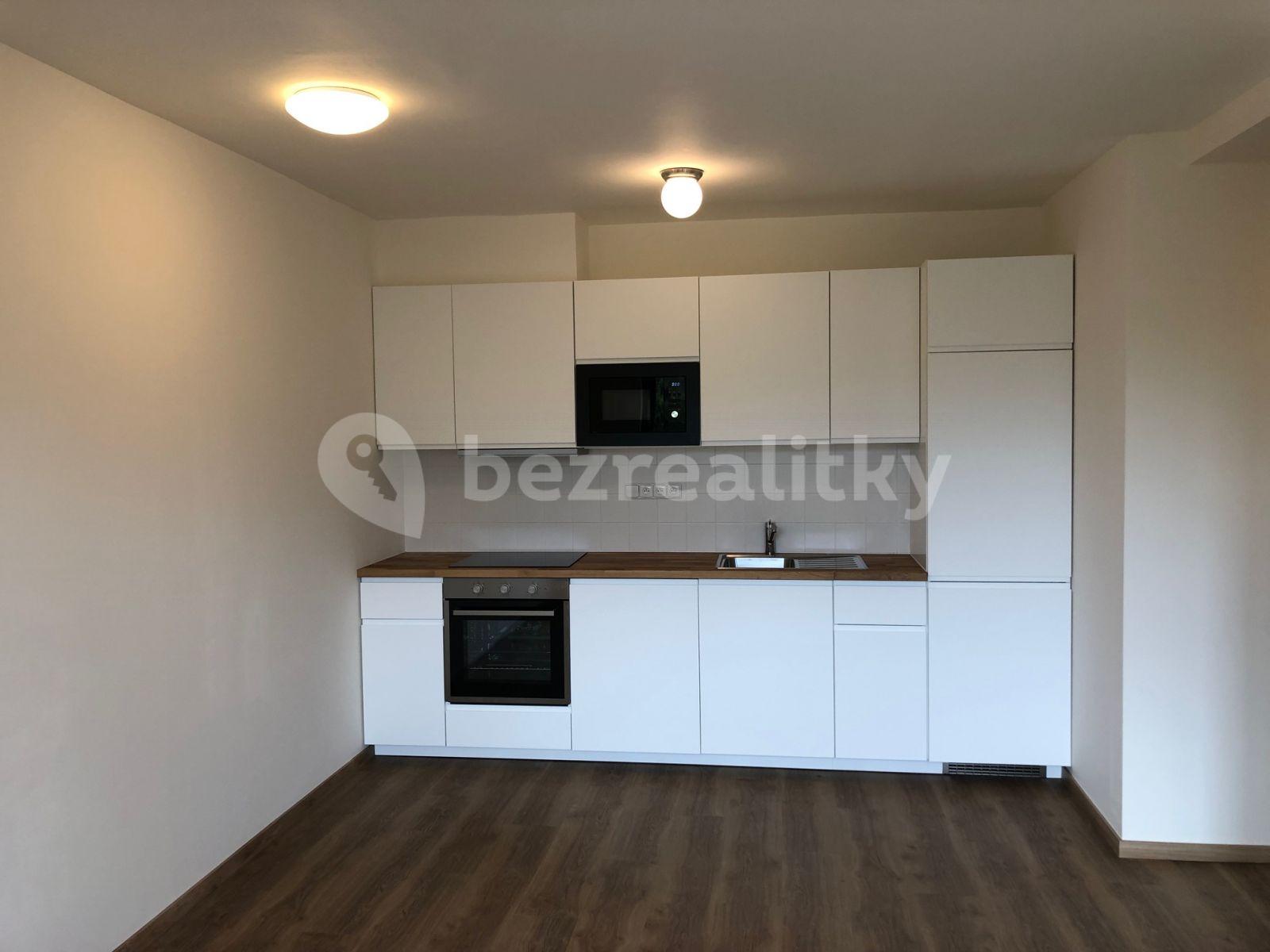 1 bedroom with open-plan kitchen flat to rent, 43 m², Přívorská, Prague, Prague