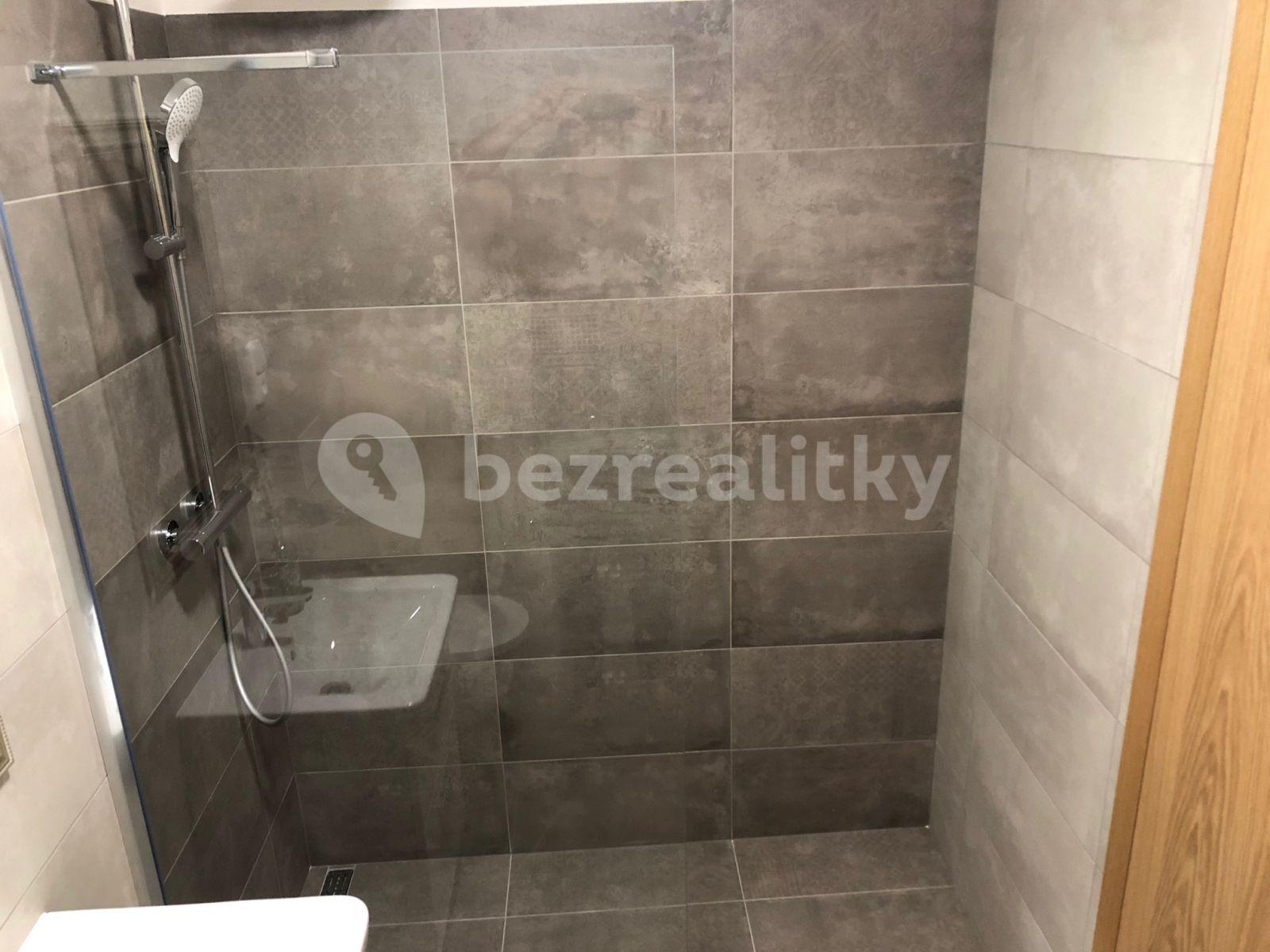 1 bedroom with open-plan kitchen flat to rent, 43 m², Přívorská, Prague, Prague