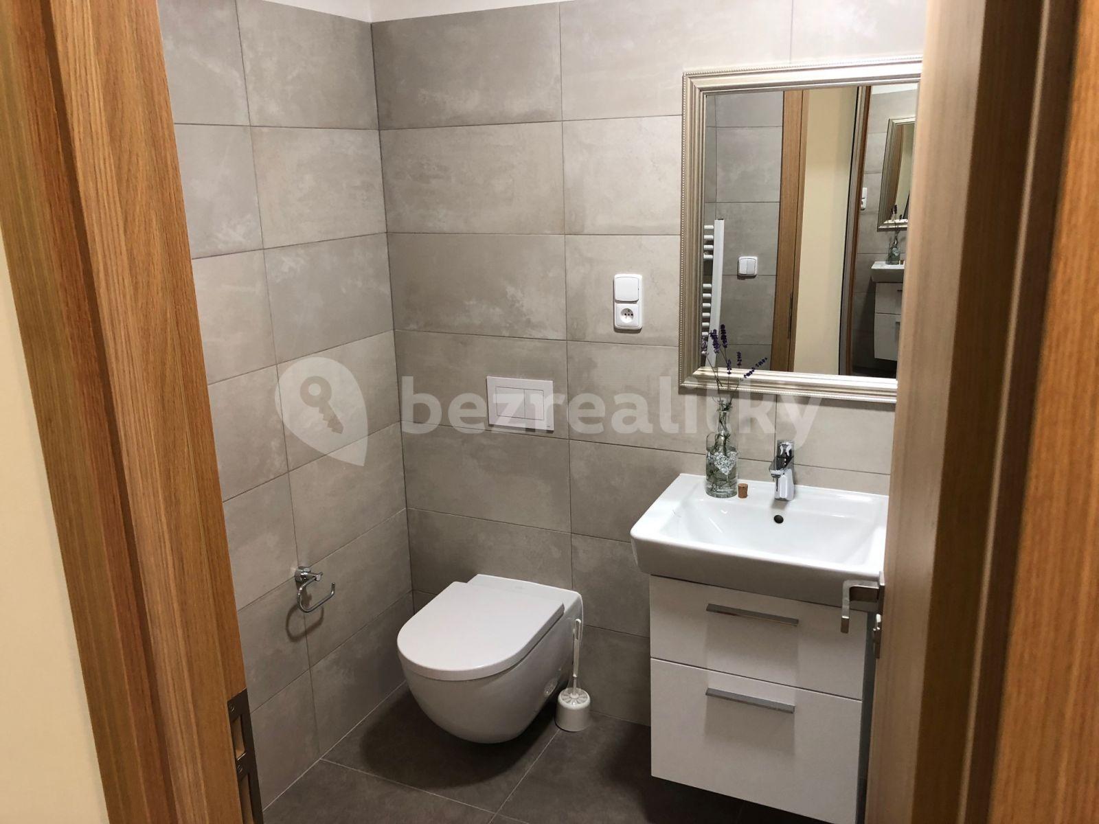 1 bedroom with open-plan kitchen flat to rent, 43 m², Přívorská, Prague, Prague