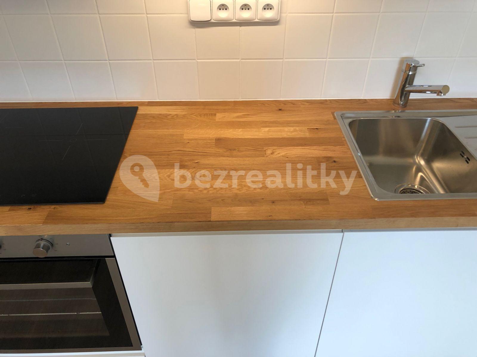 1 bedroom with open-plan kitchen flat to rent, 43 m², Přívorská, Prague, Prague