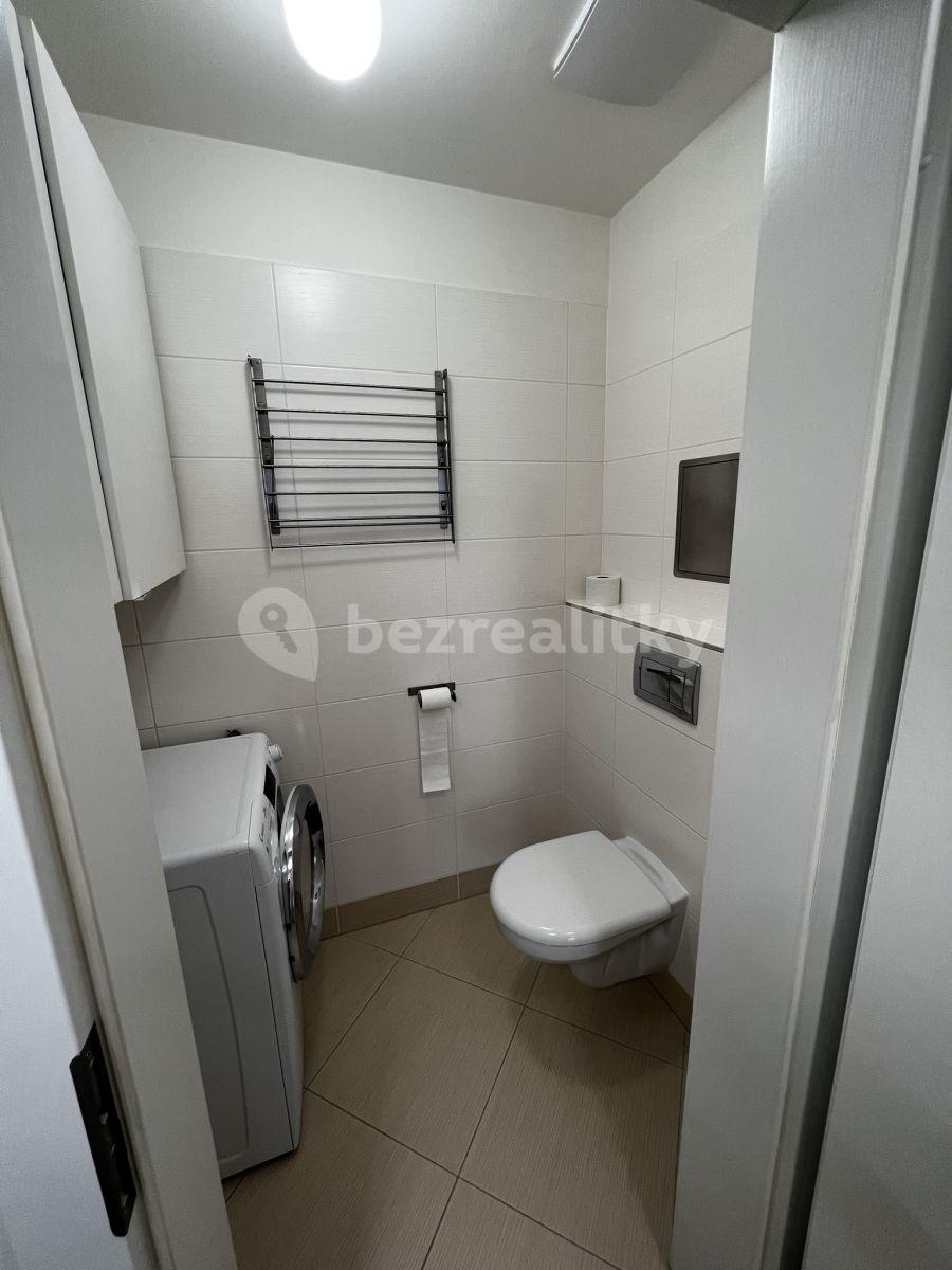 Studio flat to rent, 40 m², Míšovická, Prague, Prague