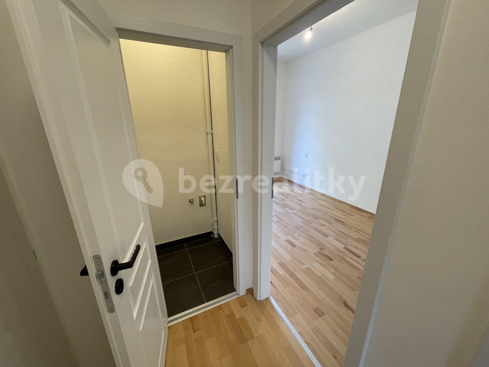 1 bedroom with open-plan kitchen flat to rent, 52 m², Na Pláni, Prague, Prague