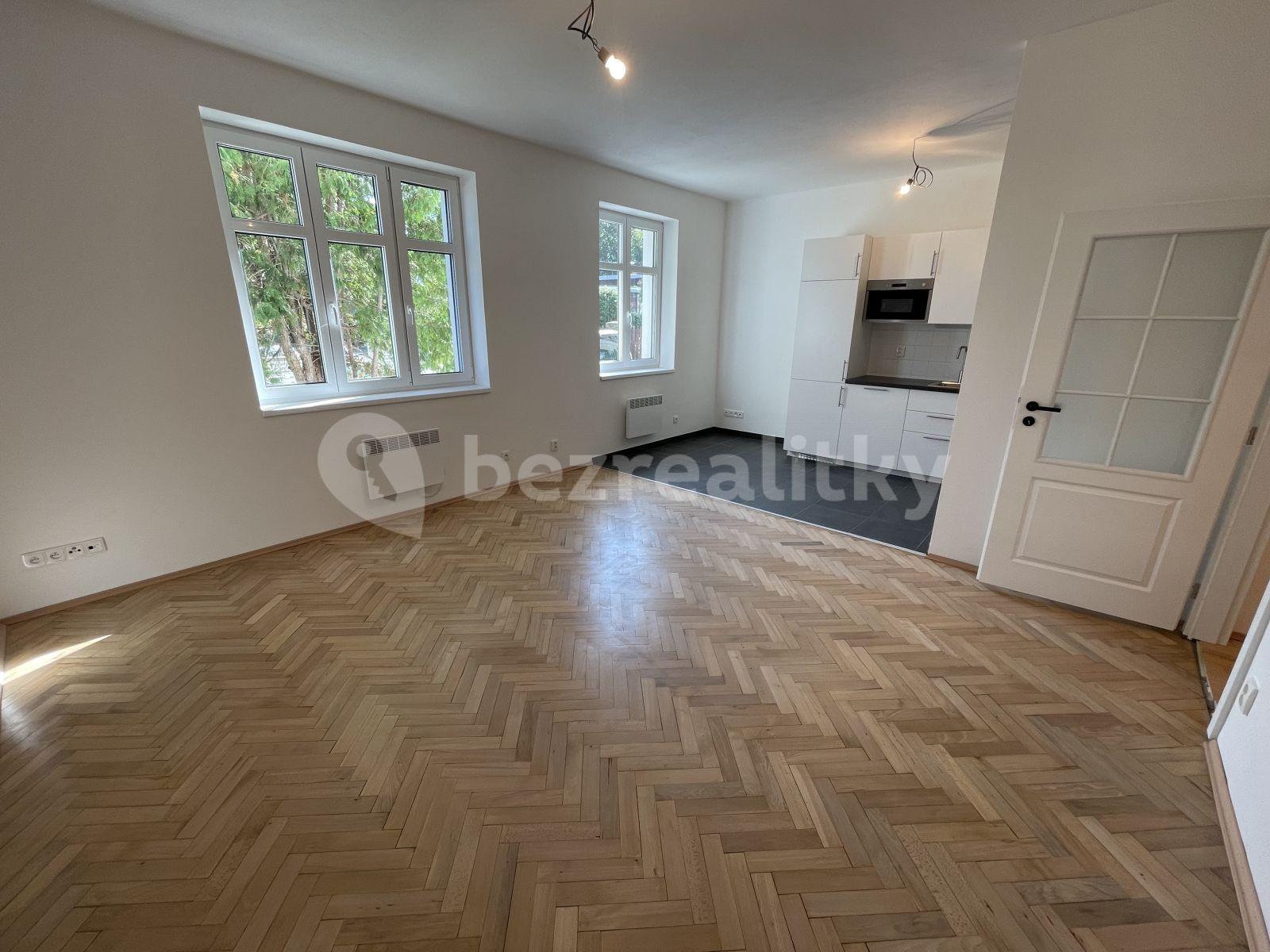 1 bedroom with open-plan kitchen flat to rent, 52 m², Na Pláni, Prague, Prague