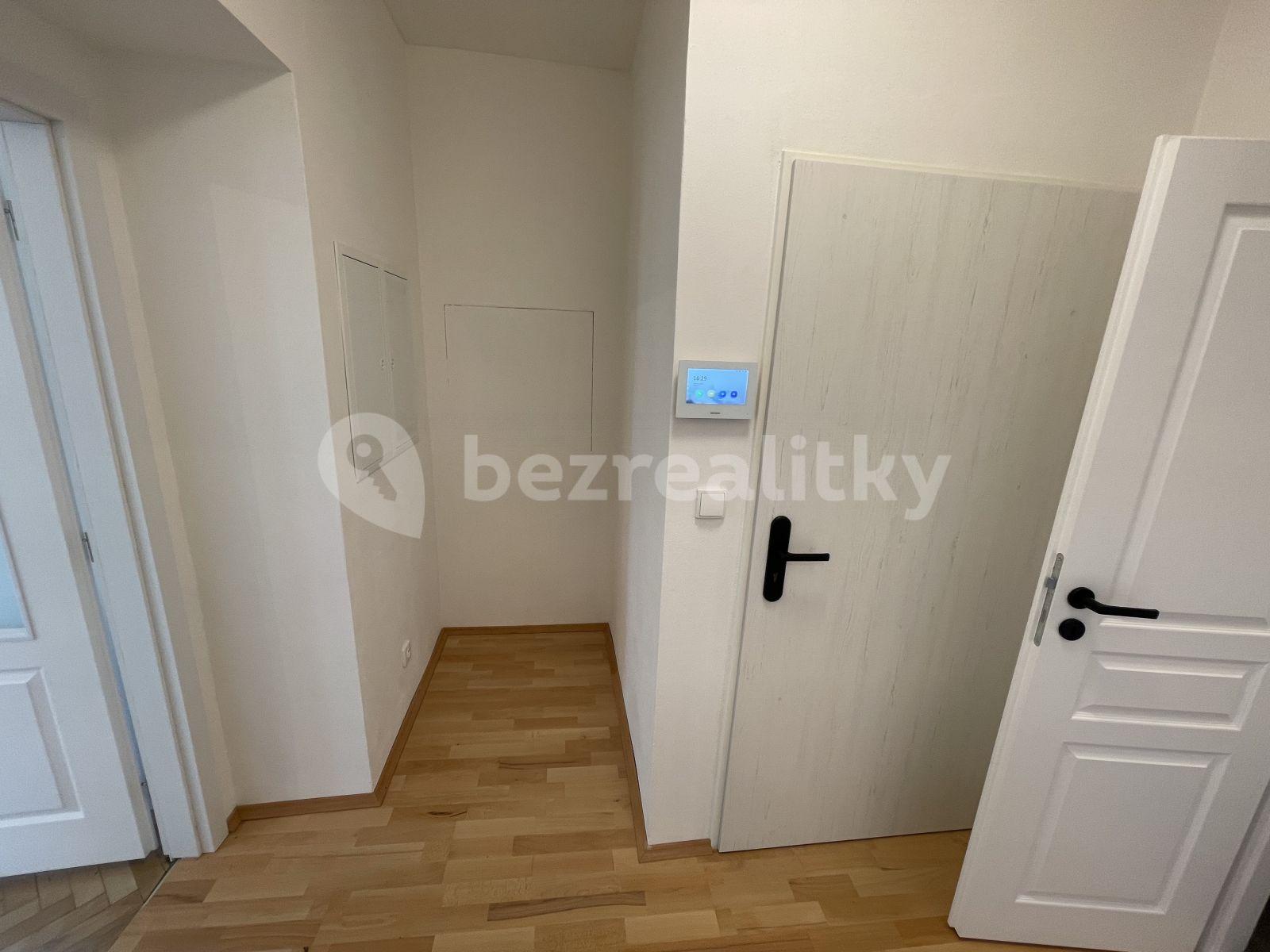 1 bedroom with open-plan kitchen flat to rent, 52 m², Na Pláni, Prague, Prague