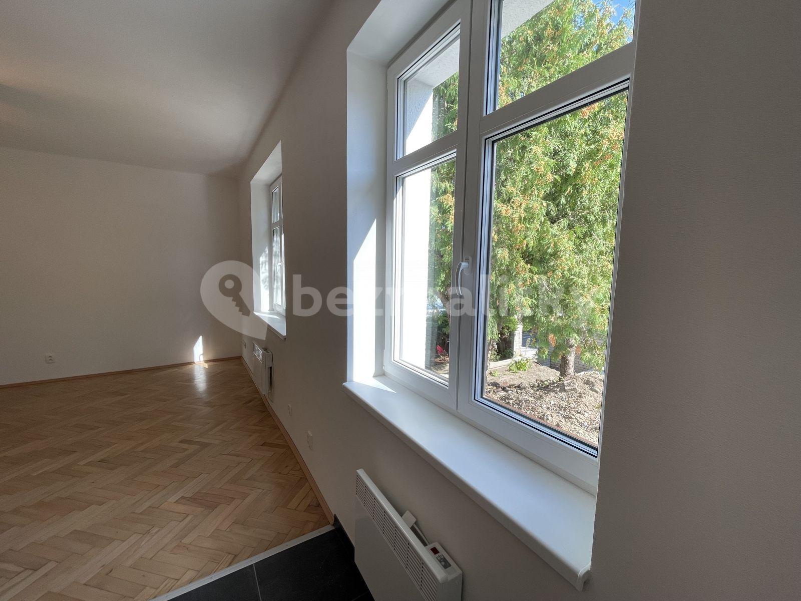 1 bedroom with open-plan kitchen flat to rent, 52 m², Na Pláni, Prague, Prague