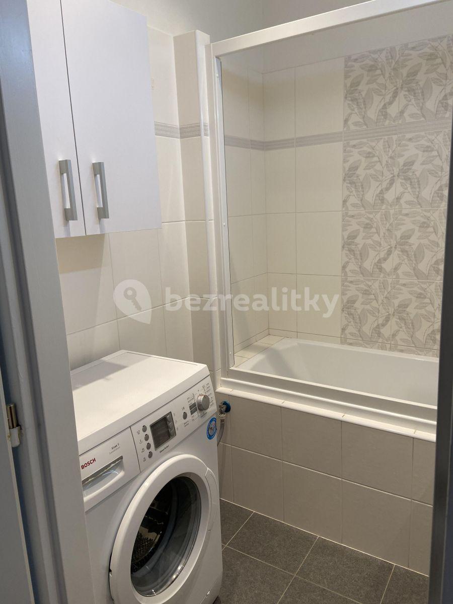 2 bedroom with open-plan kitchen flat to rent, 74 m², Plevenská, Prague, Prague