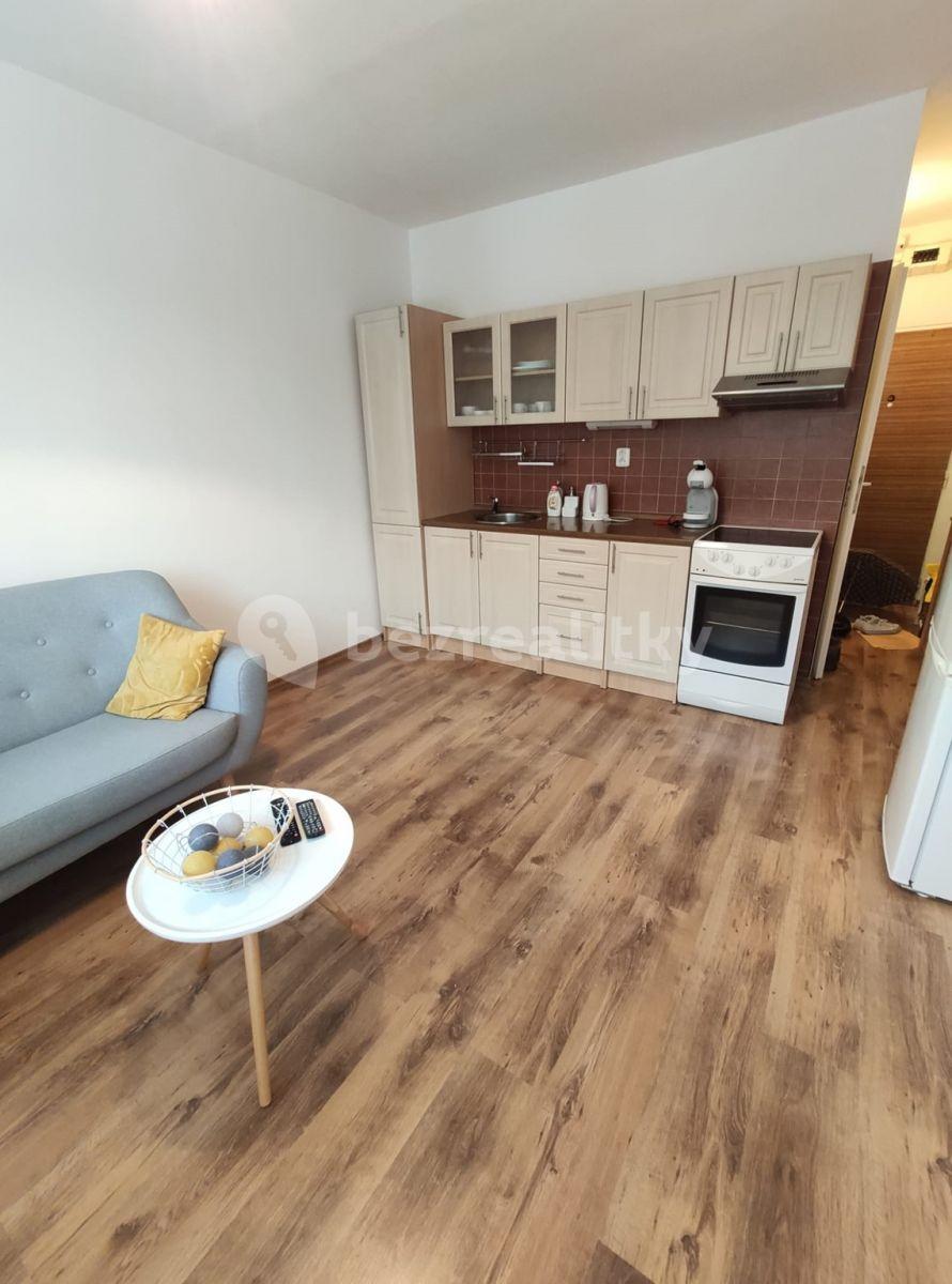 1 bedroom with open-plan kitchen flat to rent, 37 m², Větrná, České Budějovice, Jihočeský Region