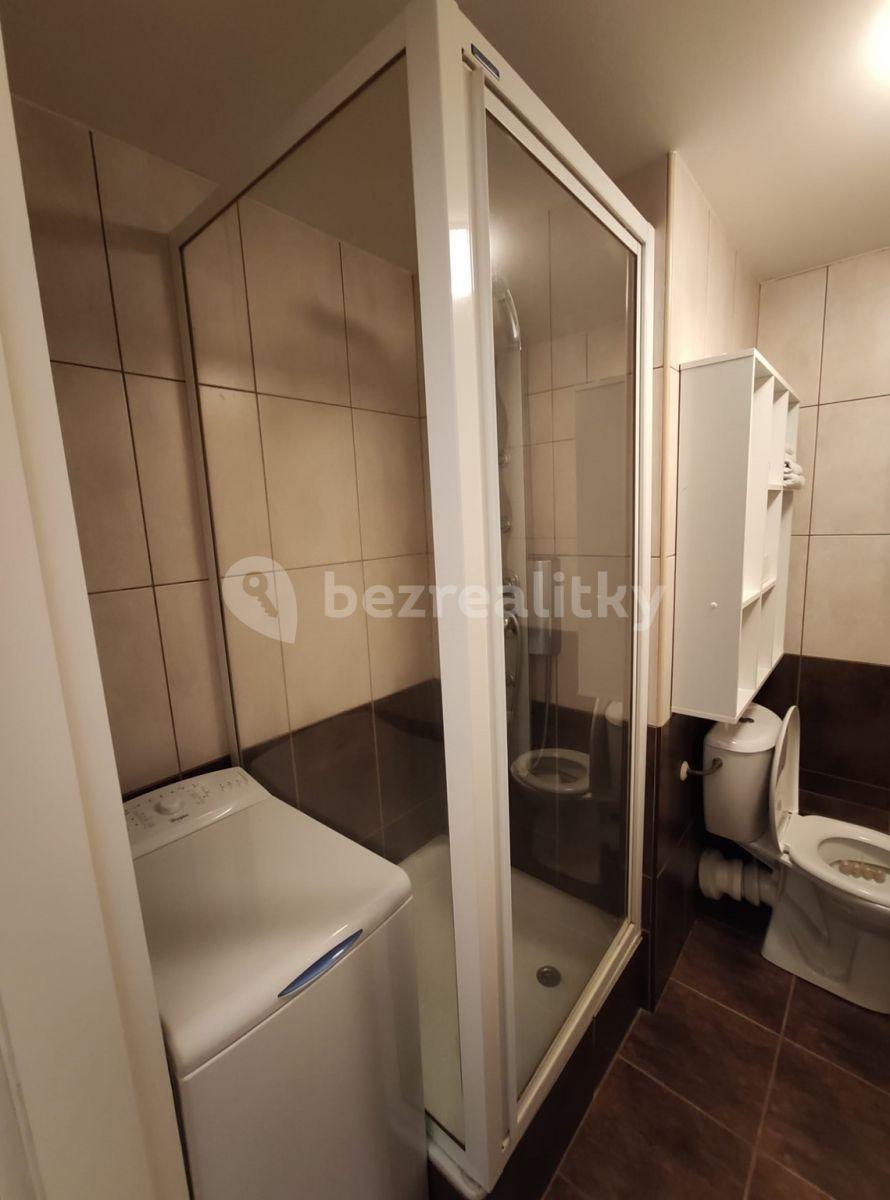 1 bedroom with open-plan kitchen flat to rent, 37 m², Větrná, České Budějovice, Jihočeský Region