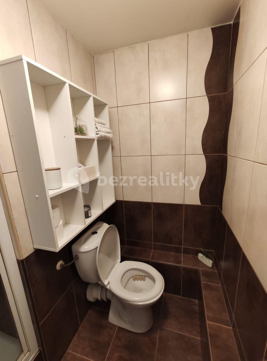 1 bedroom with open-plan kitchen flat to rent, 37 m², Větrná, České Budějovice, Jihočeský Region