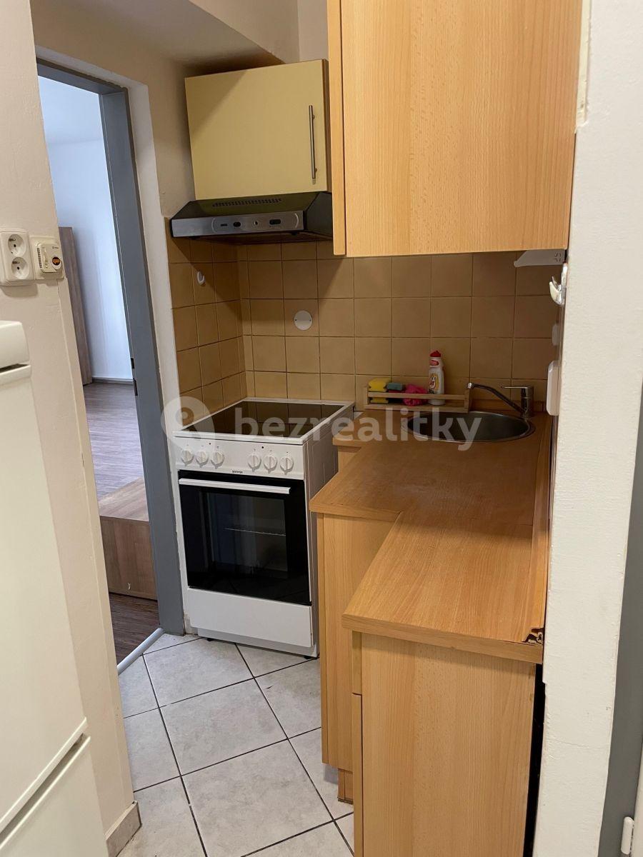 1 bedroom with open-plan kitchen flat to rent, 51 m², Kouřimská, Prague, Prague