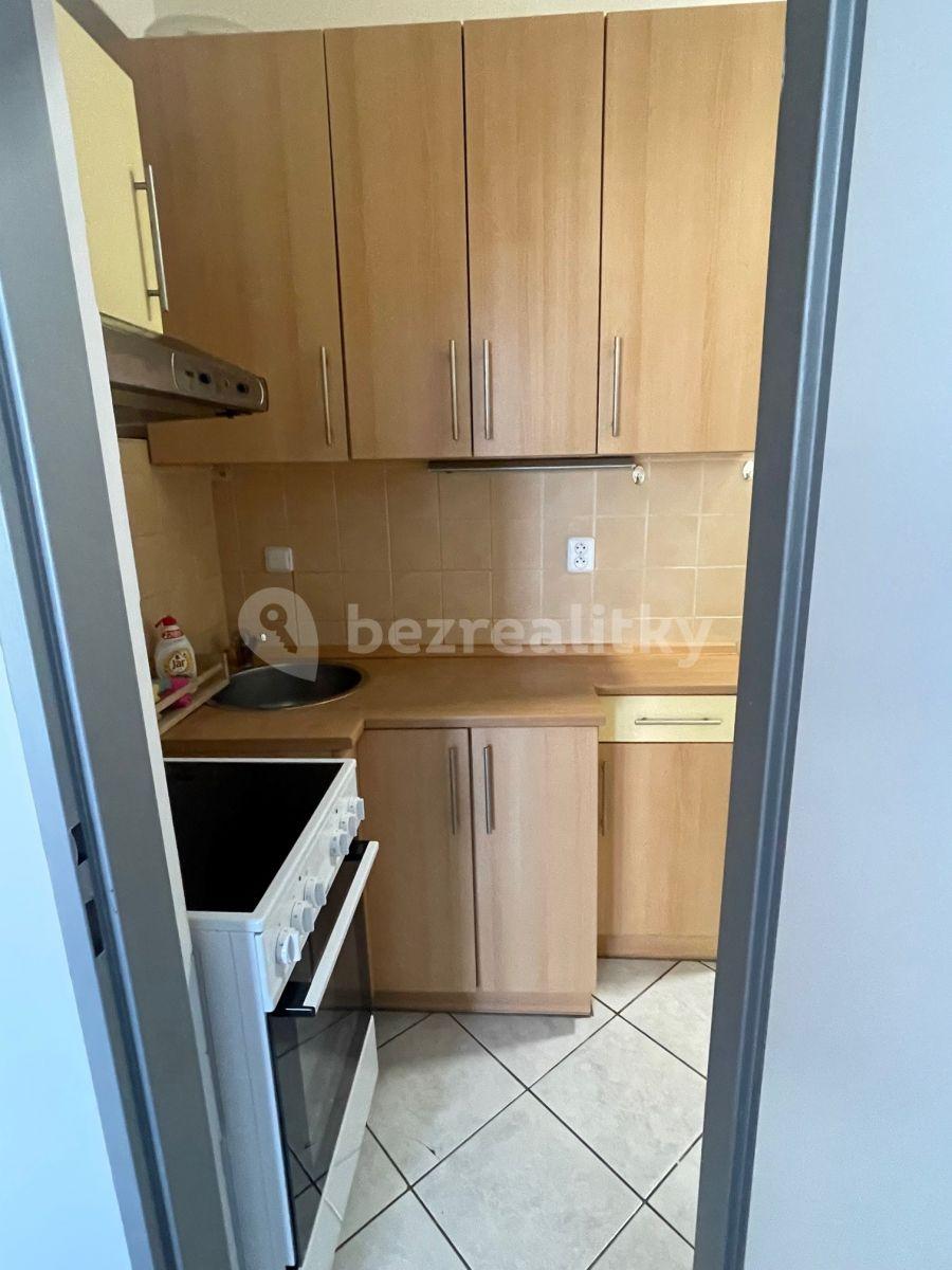 1 bedroom with open-plan kitchen flat to rent, 51 m², Kouřimská, Prague, Prague