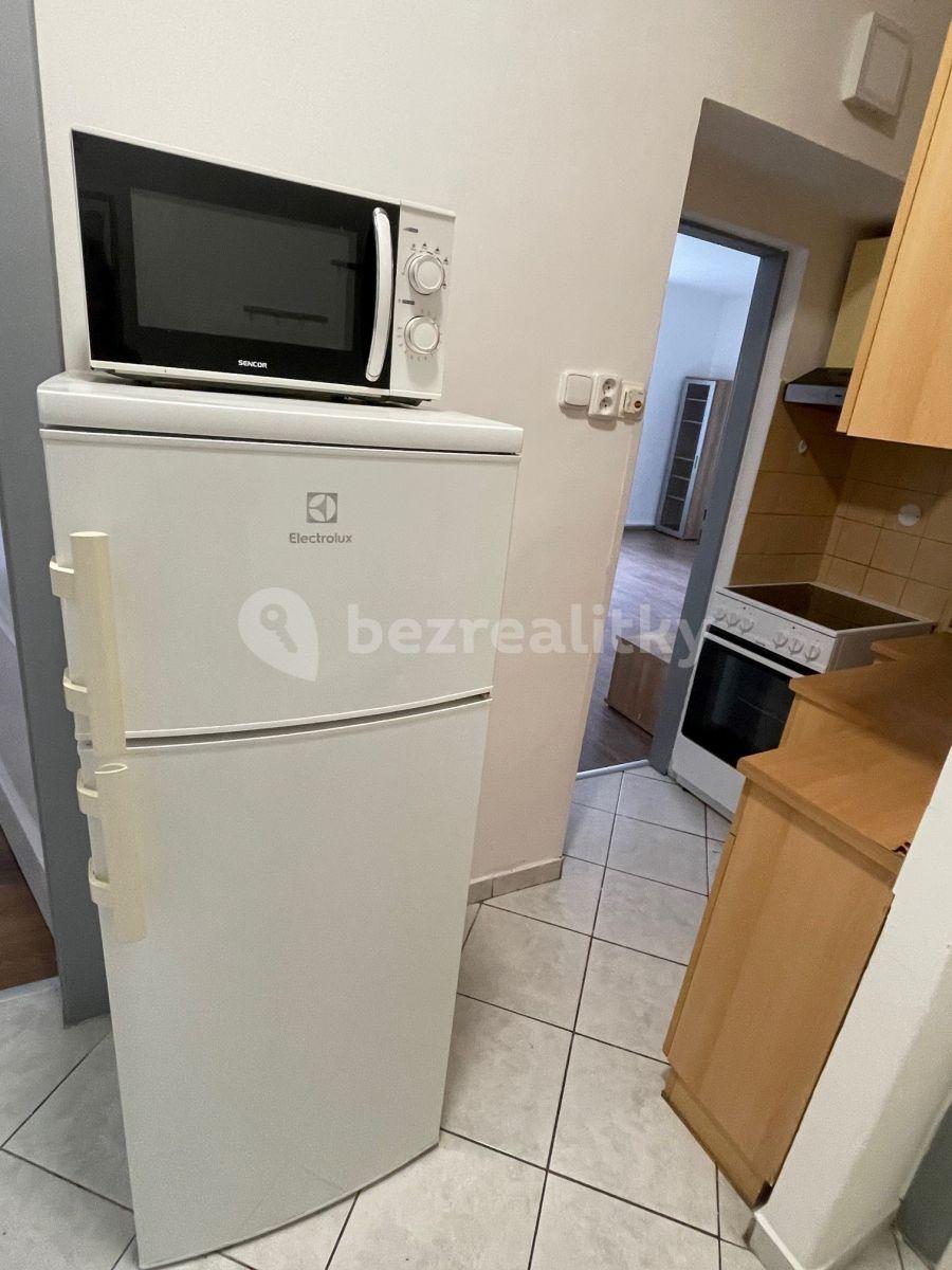 1 bedroom with open-plan kitchen flat to rent, 51 m², Kouřimská, Prague, Prague