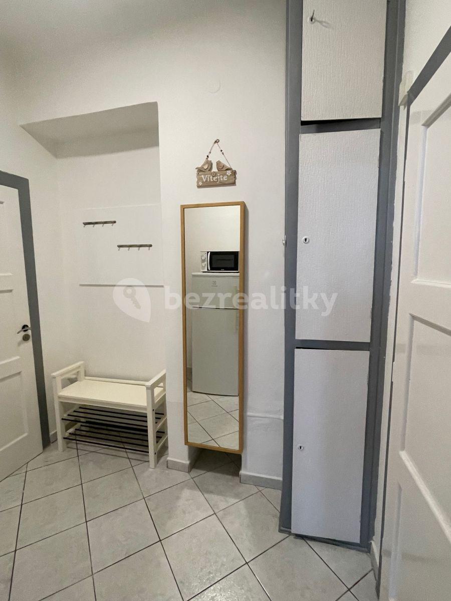 1 bedroom with open-plan kitchen flat to rent, 51 m², Kouřimská, Prague, Prague