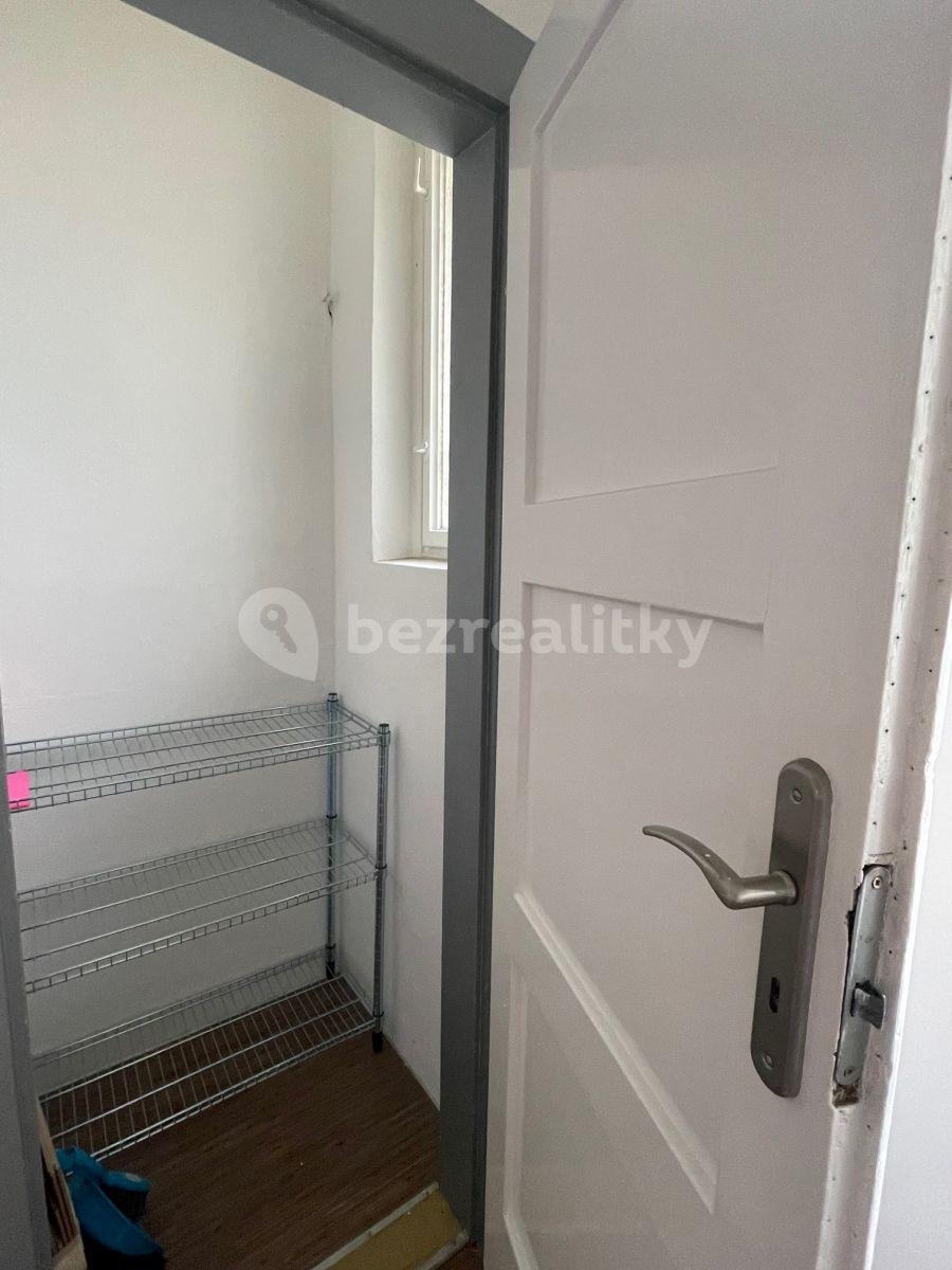 1 bedroom with open-plan kitchen flat to rent, 51 m², Kouřimská, Prague, Prague