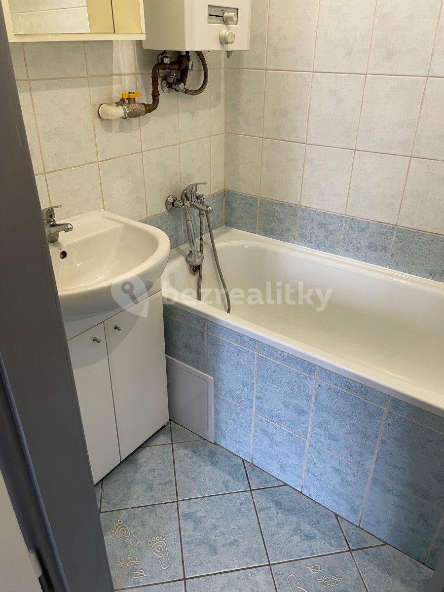 1 bedroom with open-plan kitchen flat to rent, 51 m², Kouřimská, Prague, Prague