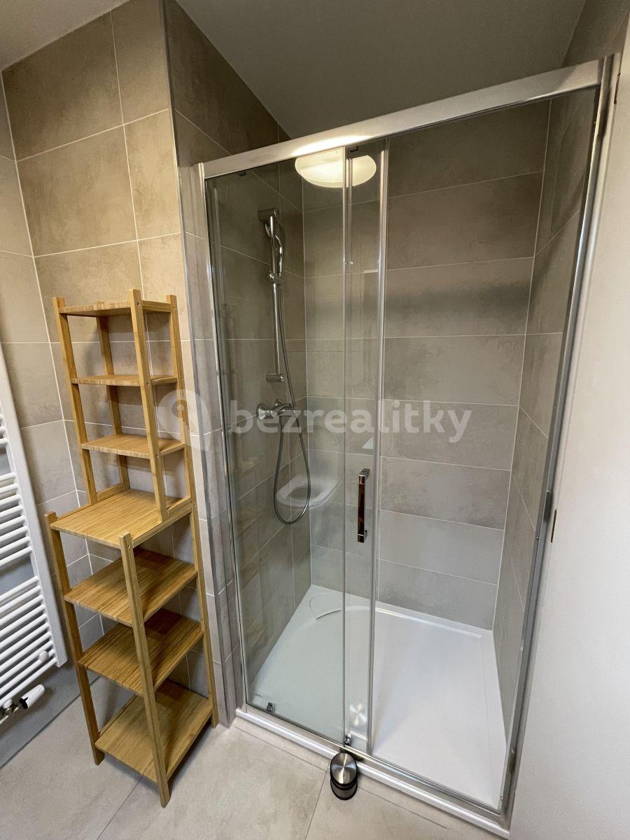 Studio flat to rent, 33 m², Hartigova, Prague, Prague