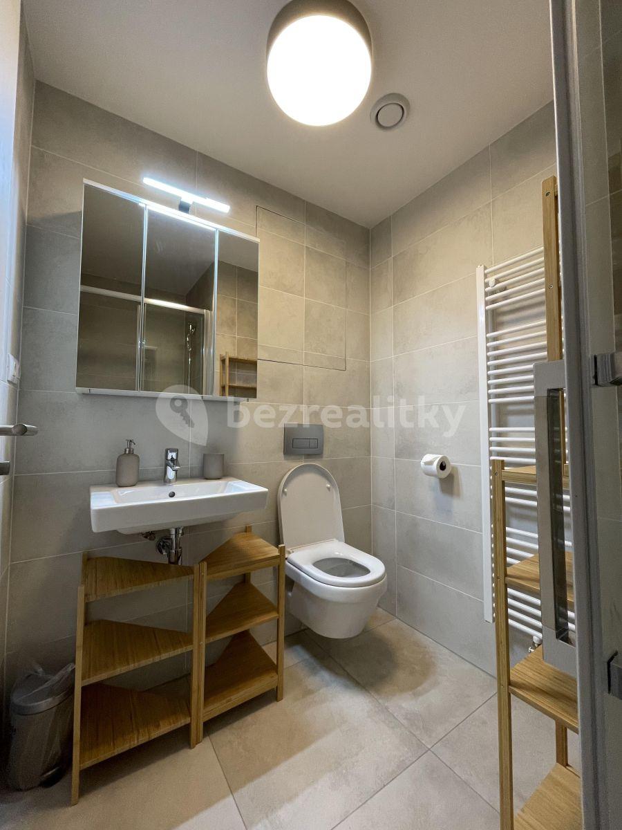 Studio flat to rent, 33 m², Hartigova, Prague, Prague