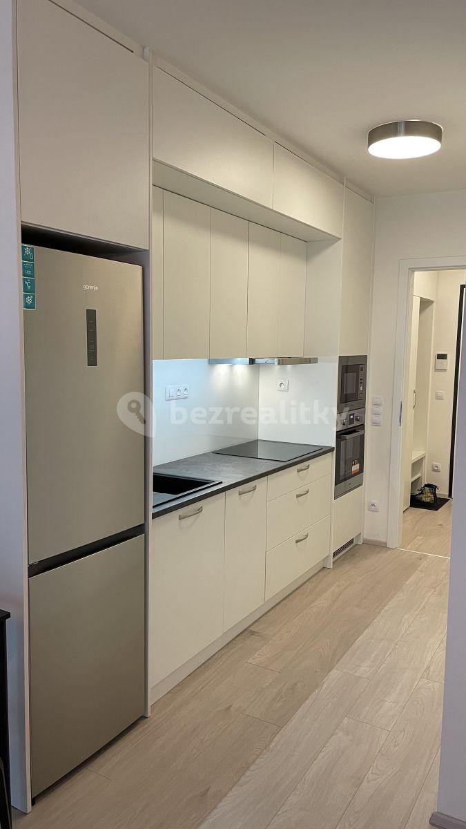 Studio flat to rent, 33 m², Hartigova, Prague, Prague