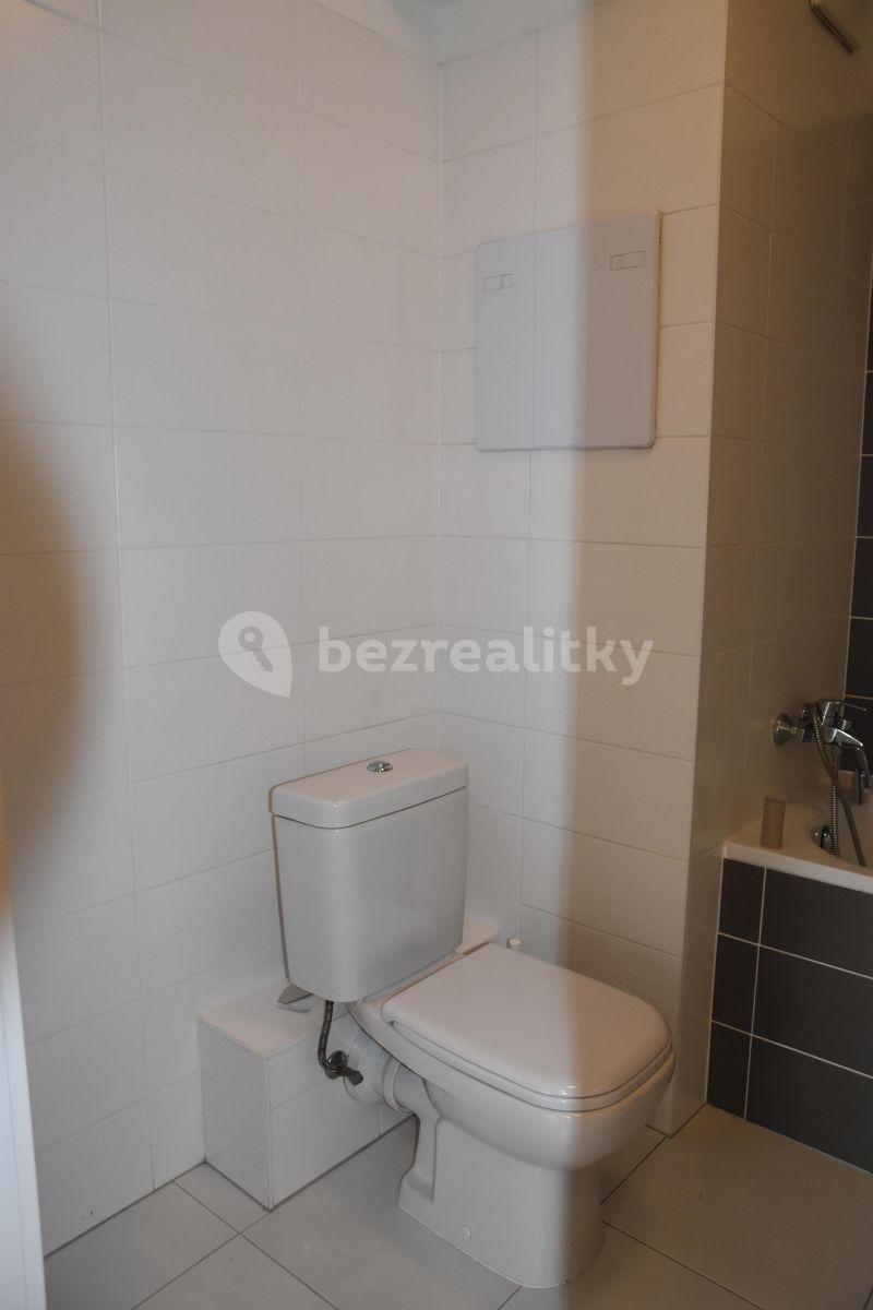 1 bedroom with open-plan kitchen flat to rent, 53 m², U Hostavického potoka, Prague, Prague