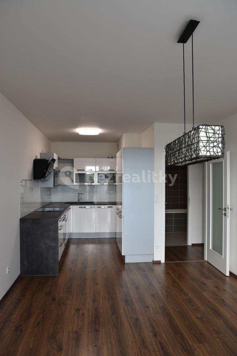 1 bedroom with open-plan kitchen flat to rent, 53 m², U Hostavického potoka, Prague, Prague