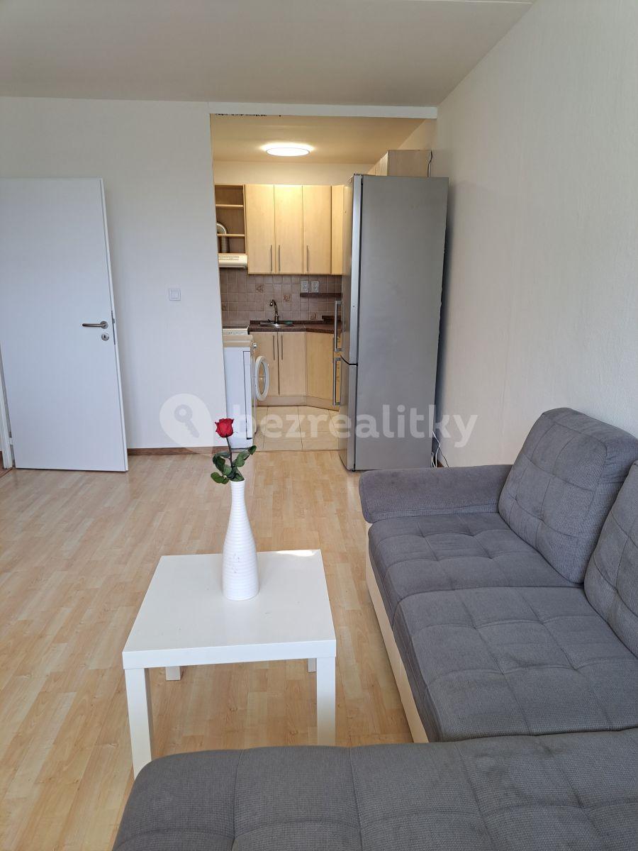 1 bedroom with open-plan kitchen flat to rent, 45 m², Prague, Prague